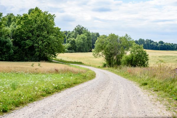 Cost of Stone Driveway Repair in Clarkston