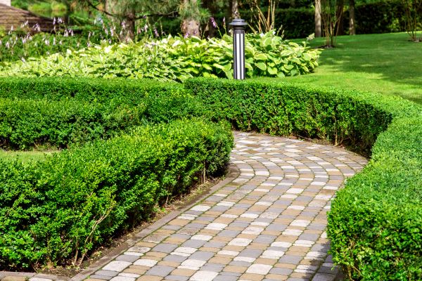 Cost of Paved Landscaping in Clarkston