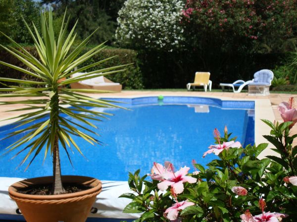 Cost of Pool Terrace Renovation in Clarkston